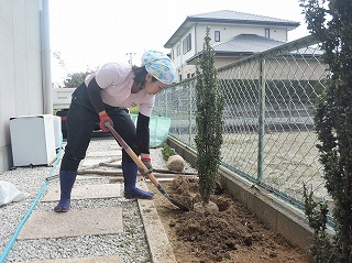 お庭メンテナンス